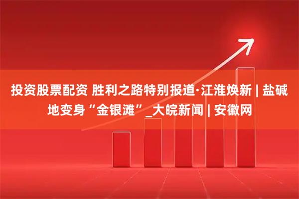 投资股票配资 胜利之路特别报道·江淮焕新 | 盐碱地变身“金银滩”_大皖新闻 | 安徽网