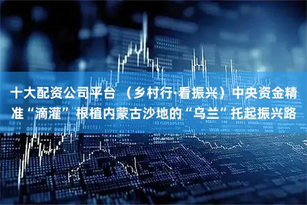 十大配资公司平台 （乡村行·看振兴）中央资金精准“滴灌” 根植内蒙古沙地的“乌兰”托起振兴路